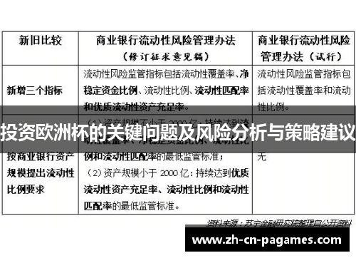 投资欧洲杯的关键问题及风险分析与策略建议