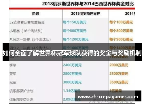 如何全面了解世界杯冠军球队获得的奖金与奖励机制